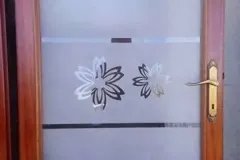 imm11